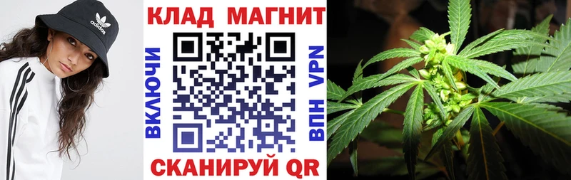  COCAIN Санкт-Петербург
