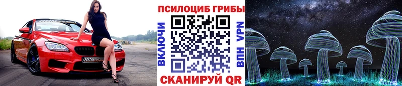 хочу   Санкт-Петербург  Псилоцибиновые грибы Magic Shrooms 
